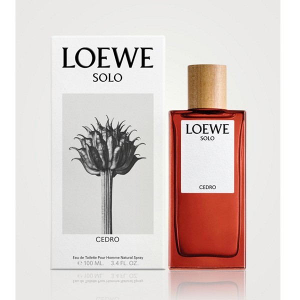 Loewe solo loewe cedrp eau de toilette 100ml vaporizador
